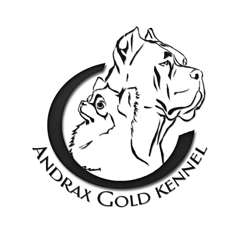 logo-andrax-gold.jpg